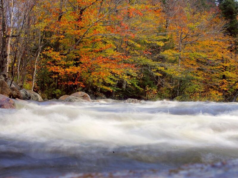 35 Photos Showing the Best National Parks For Vivid Fall Colors