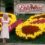 Dollywood Future: Park Vision Following the Death of Dolly Parton